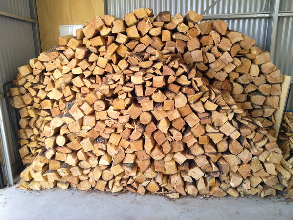 Wet Old Man Pine Firewood