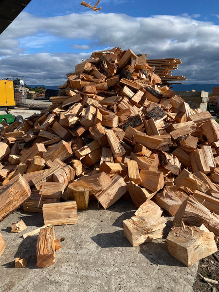 Wet Old Man Pine Firewood
